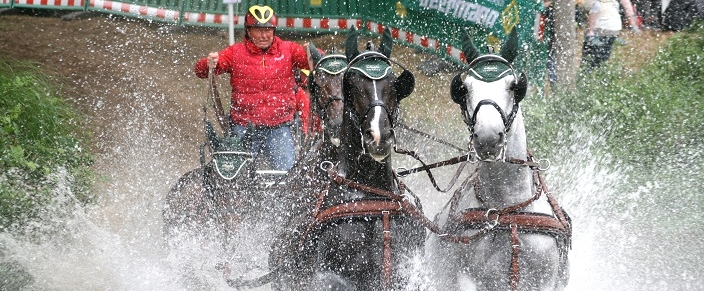 Eine Kutsche mit drei Pferden fährt durchs Wasser