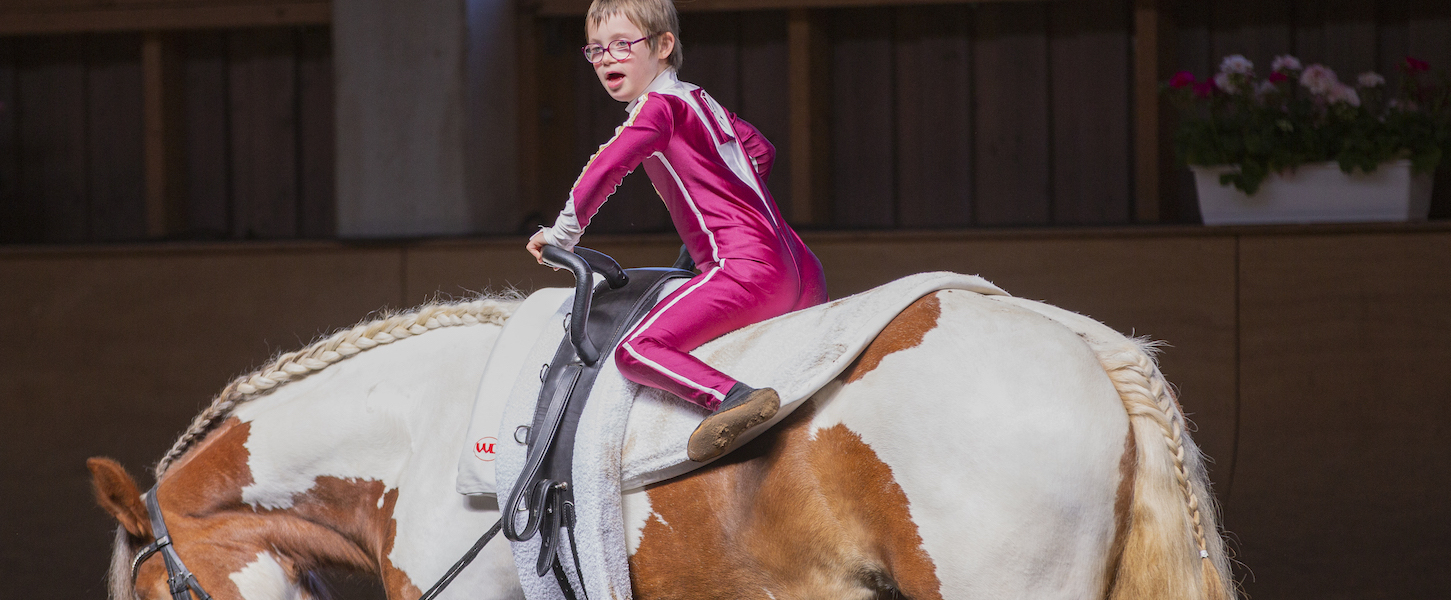 Reiter auf einem Pferd