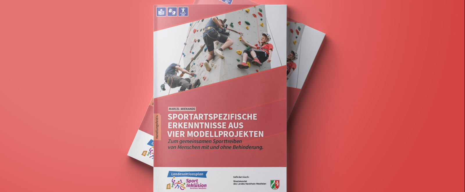 Sportartspezifische Erkenntnisse aus vier Modellprojekten