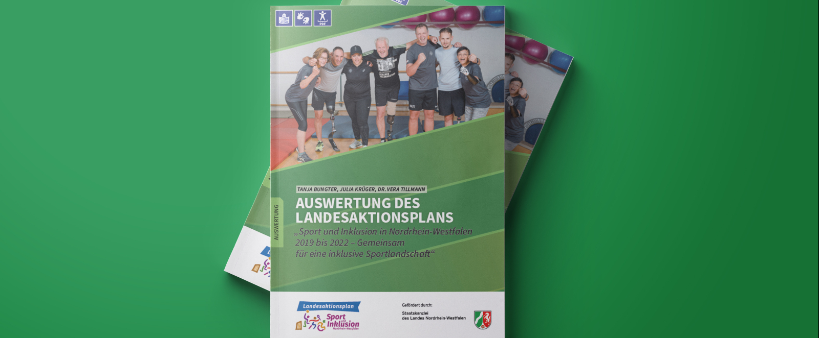 Auswertung des Landeskationsplans