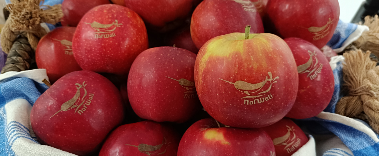 rote Äpfel mit narwali-Schriftzug