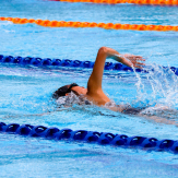 Schwimmer im Wasser