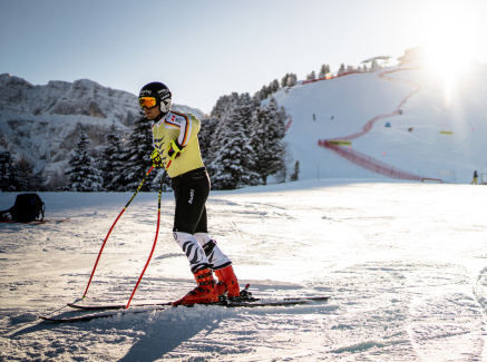 Sander auf Skipiste