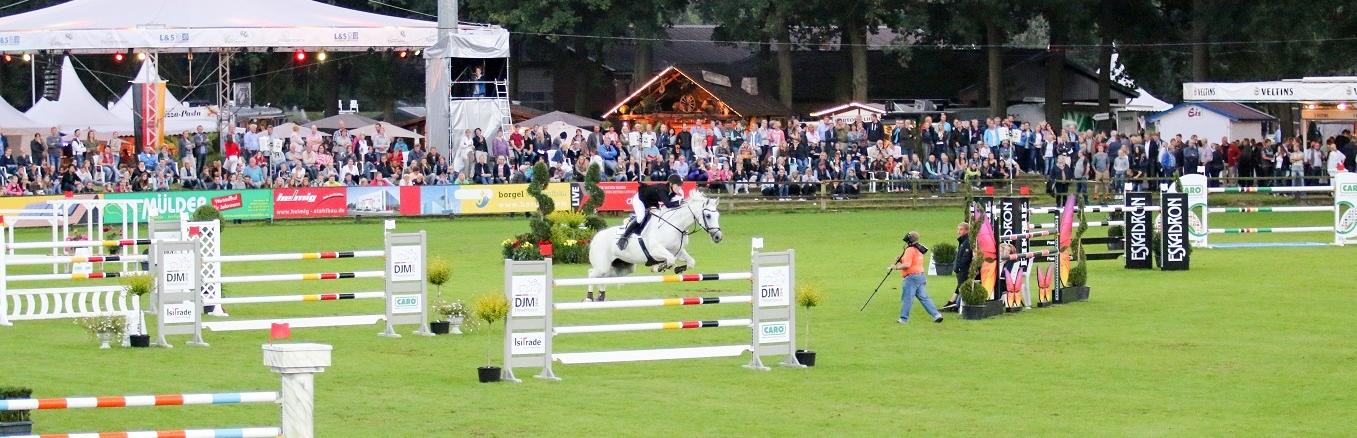 Springreiter mit seinem Pferd beim Sprung über ein Hindernis